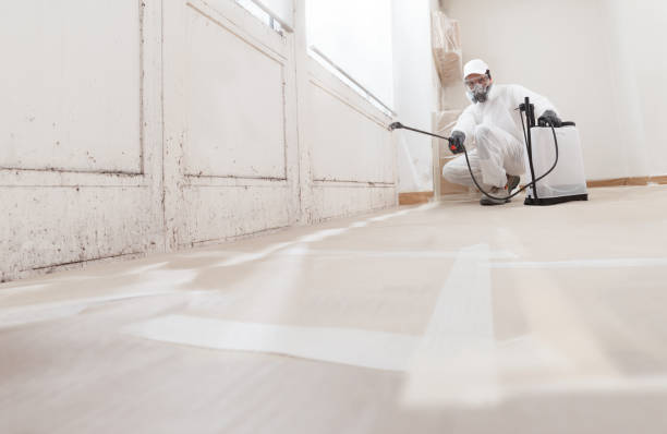 24/7 Emergency Attic Mold Remediation experts in Summerhill, PA